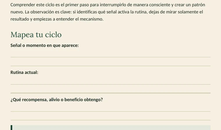 Ejercicio Mapea tu ciclo del ebook